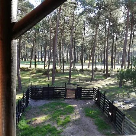 Aroeira Golf Praia Charneca (Setubal)